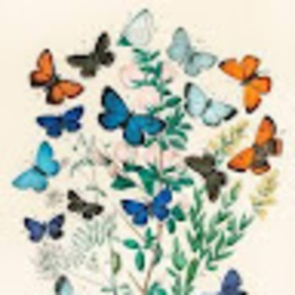 Meet your Posher, Sabrije - Picture 1 of 1